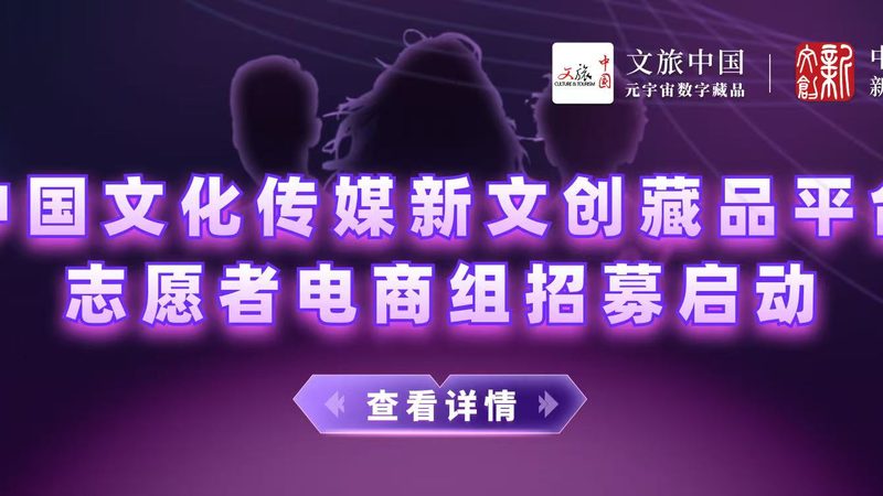 成都传媒公司的收费标准通常由以下几部分构成：