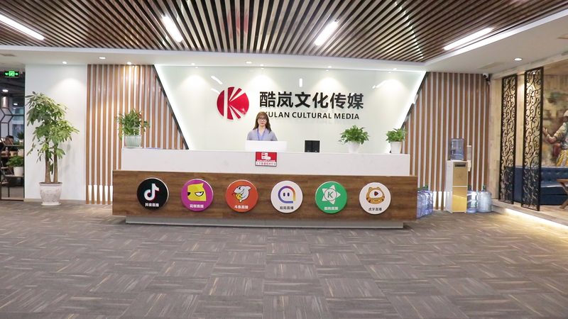 品牌设计风格定制公司推荐